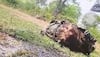 dantewada naxal attack news