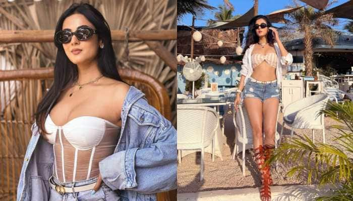 Sonal Chauhan Xxxnx - Sonal Chauhan Drops Sizzling Pictures In Bold Outfits, Video In Bralette  Goes Viral- Watch | People News | Zee News