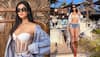 Sonal Chauhan Drops Sizzling Pictures In Bold Outfits, Video In Bralette Goes Viral- Watch