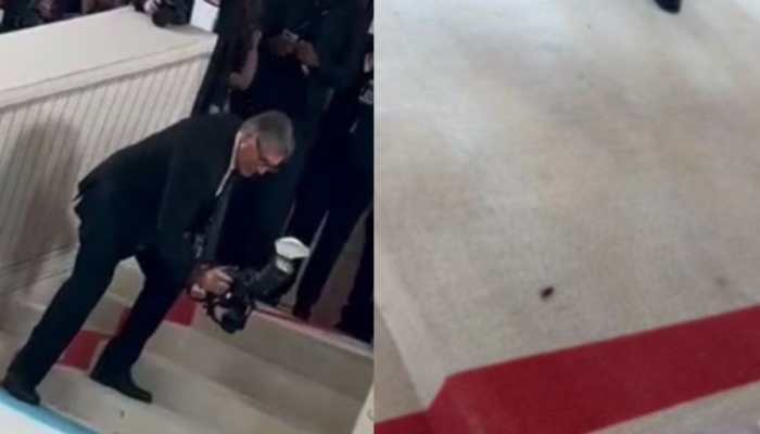 Met Gala 2023: Cockroach’s Entry At The Red Carpet Leaves Netizens In Splits- Watch Viral Video 