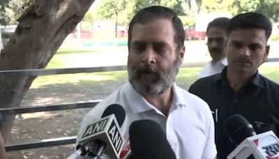 Modi Surname Row: Gujarat High Court Refuses To Grant Interim Relief To Rahul Gandhi In Defamation Case