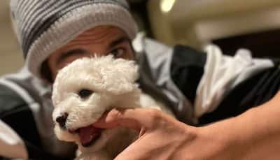 Kartik Aaryan's Pet Pooch Katori Bites His Thumb, Actor Drops Pic From Playful Time