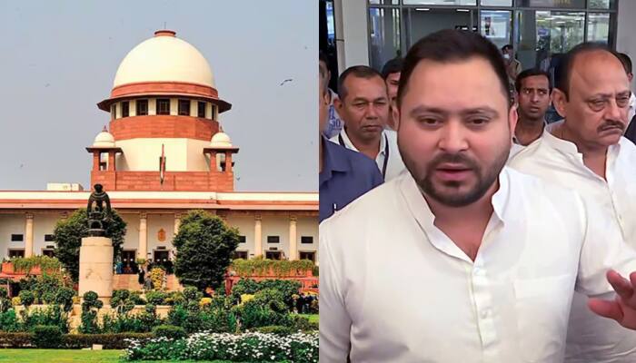 Patna HC Stays Caste Survey By Bihar Govt; Tejashwi Yadav Reacts