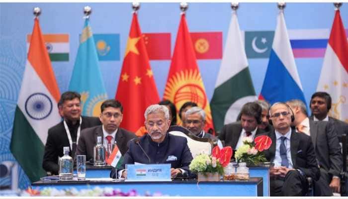 With Pakistan In Attendance, S Jaishankar Talks About Stopping Cross-Border Terrorism