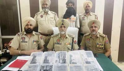 Terror Module Busted In Punjab's Tarn Taran, One Arrested With 10 Pistols