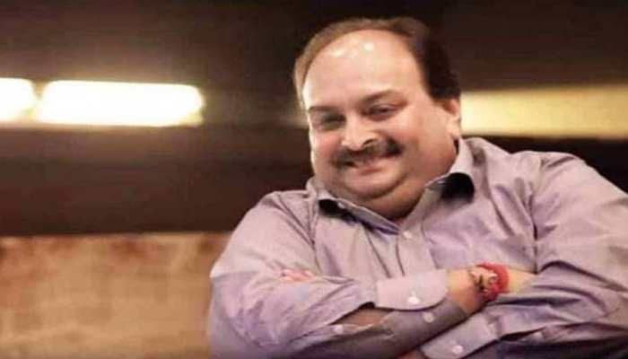 &#039;Incompetence...&#039;: Congress&#039; Scathing Attack At Centre Over Mehul Choksi Extradition