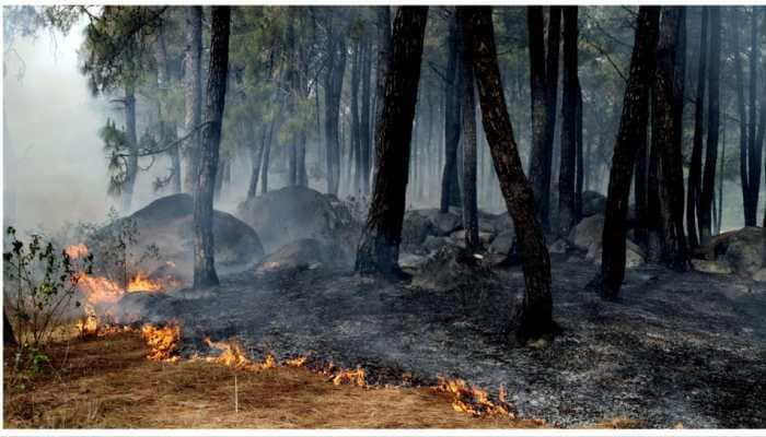 Canada&#039;s Alberta Declares State Of Emergency Over Wildfires