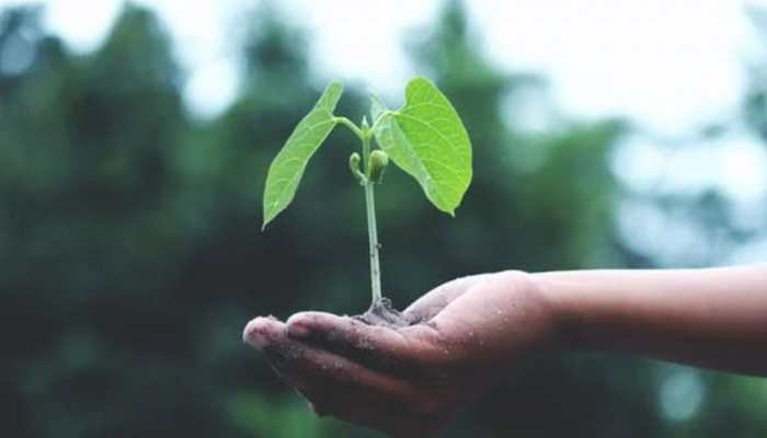 One Lakh Saplings To Be Planted In Ladakh On May 17 