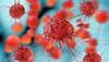 Pakistan: Sindh Province Reports First Case Of Congo Virus 