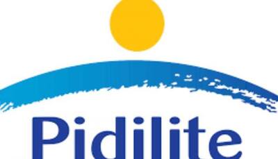 India's Pidilite Posts Rise In Q4 Profit On Easing Costs, Strong Demand