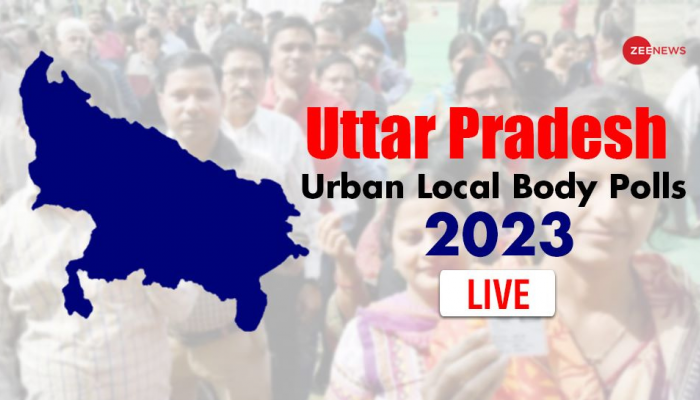 Local Body Data UP Urban Local Body Polls 2023 LIVE Updates: Over 20 Per Cent Voter ...