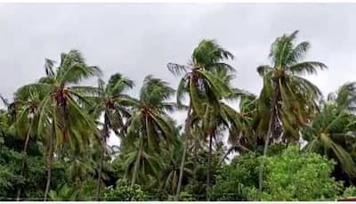 Cyclone Mocha: Bangladesh's St Martin's Island May Go Underwater Temporarily