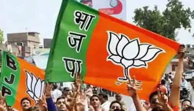 Gujarat BJP To Launch Month-Long Mass Contact Programme Ahead Of Lok Sabha Polls 2024