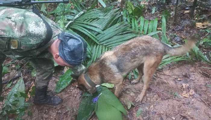 Children Survive Plane Crash In Columbia, Found Alive In Amazon Forest Weeks After Accident
