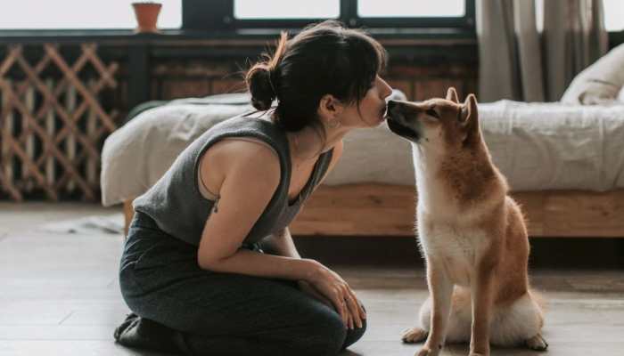 How To Help Your Dog Cope With Separation Anxiety