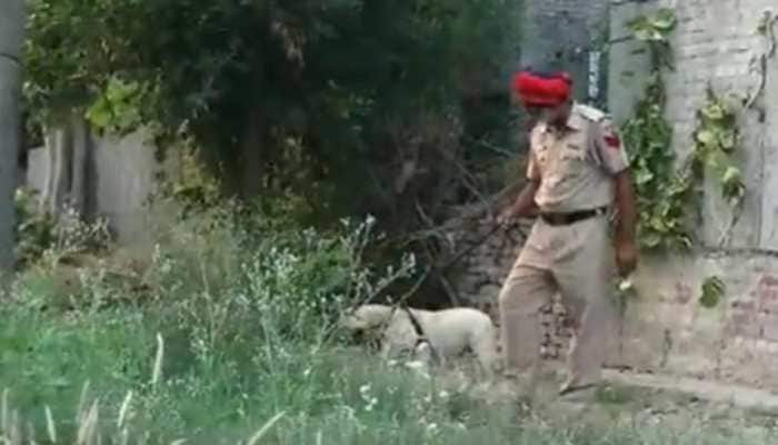Paw-Dorable Moment For Punjab Police As Simmy, The Labrador, Beats Cancer And Returns To Duty