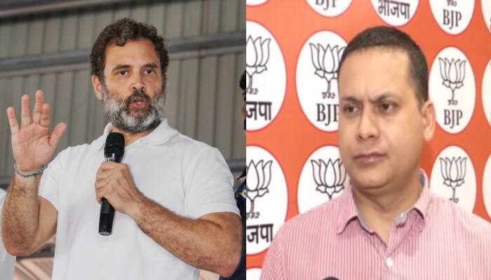 BJP Reacts To SC Expert-Panel Report On Adani, Says &#039;Rahul Gandhi&#039;s Speech Writers...&#039;