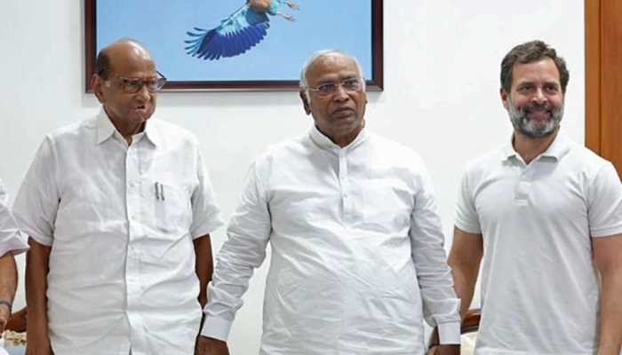 Amid Catch-22 Situation Over Opposition&#039;s PM Face, Sharad Pawar&#039;s Praise For Rahul Gandhi