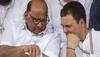 pm race 2024 sharad pawar