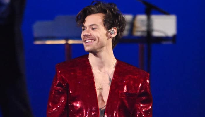 Harry Styles Stops Concert In The Middle To Make His Fan Dump Her Boyfriend