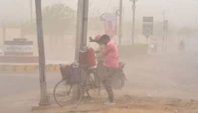 Sudden Dust Storms In Delhi: Expert Explains Ways To Stay Safe
