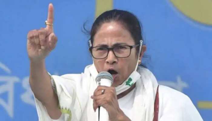 'Our Champions...': Mamata Banerjee Extends Support To Sakshi Mallik, Vinesh Phogat
