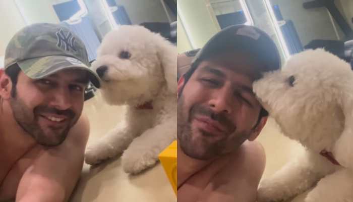 The &#039;Pawdorable&#039; Chemistry Between Kartik Aaryan And Katori Is The Best Thing You&#039;ll See Today