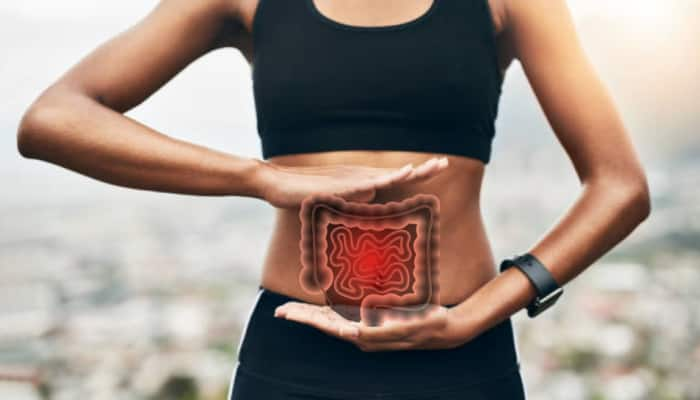 World Digestive Health Day 2023: Identifying The Causes, Symptoms Of Irritable Bowel Syndrome