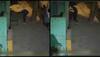 delhi murderbreaking