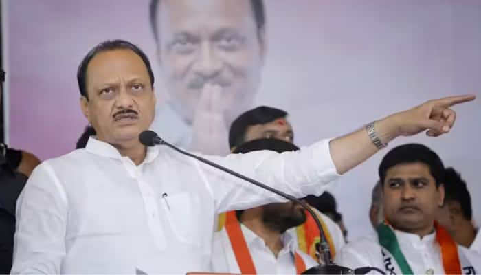 MVA To Contest Maharashtra Assembly, Lok Sabha Polls Together: Ajit Pawar