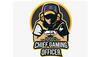 Gaming Enthusiast? You Can Earn Rs 10 Lakh In Six Months, Here's How To Apply For iQoo Chief Gaming Officer Contest