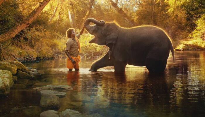 Goa Environmental Film Festival To Open With Oscar-Winner &#039;The Elephant Whisperers&#039;