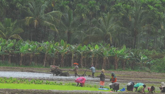 Mysterious Underground Sounds Recurring In Kerala Hamlet; Experts Called In To Inspect Site