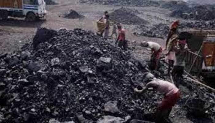 Govt Permits Import Of Pet Coke As Raw Material For Lithium-Ion Batteries