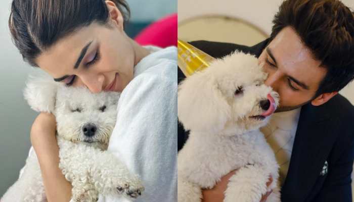 Kriti Sanon Cuddles With Her Puppy Disco, Fans Tease Her For Kartik Aaryan&#039;s Pet Katori