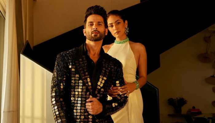 Shahid Kapoor Had &#039;2 Spoons, Plate&#039; When Wife Mira Rajput Moved In