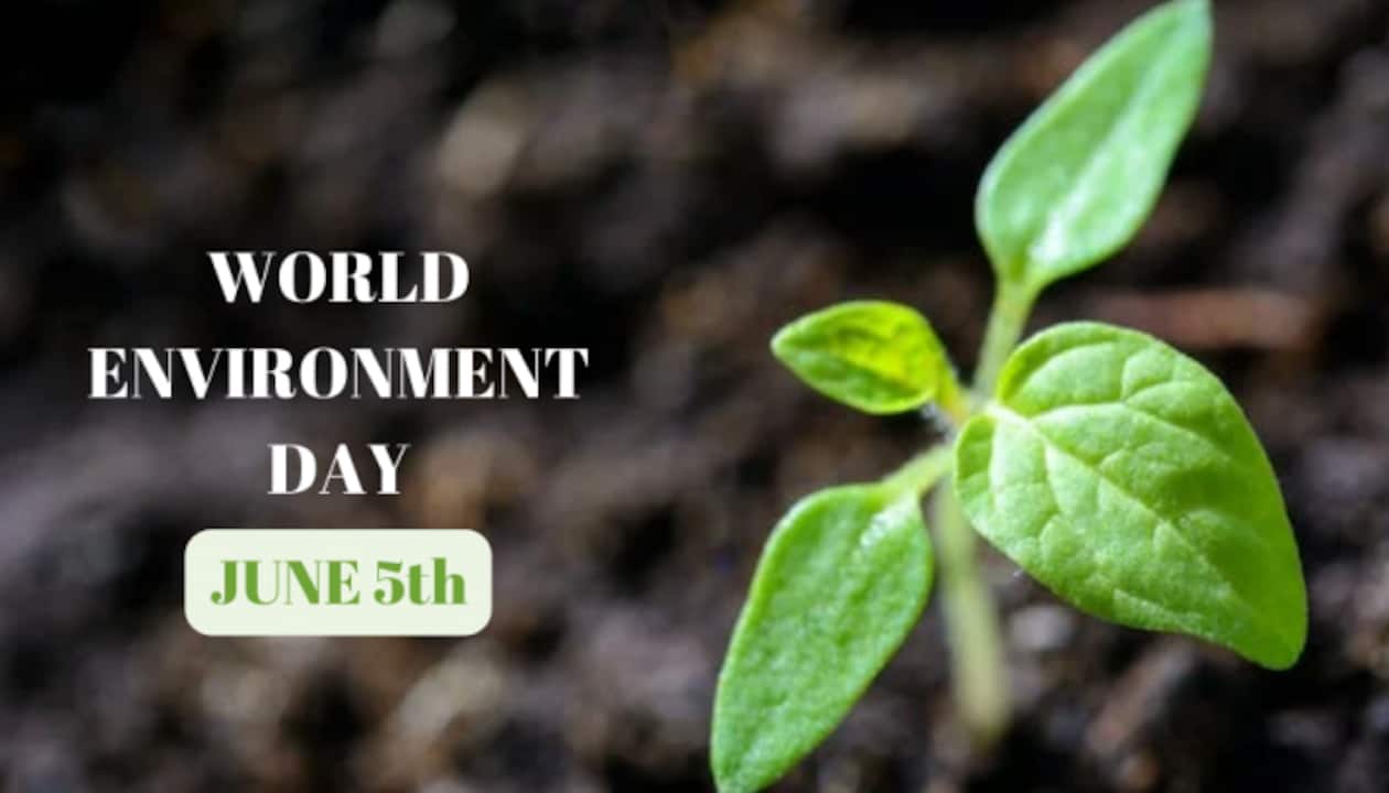 World Environment Day 2023: Wishes, Quotes, Images And Powerful ...