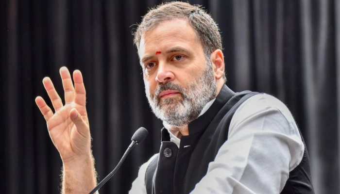 Mahatma Gandhi, Nehru, Ambedkar, Subhash Chandra Bose Were All NRIs: Rahul Gandhi
