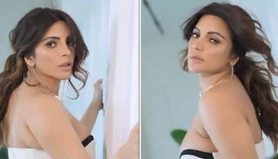 Shama Sikander Sizzles In While Plunging Neckline Outfit, Sets Hearts Racing With New Video
