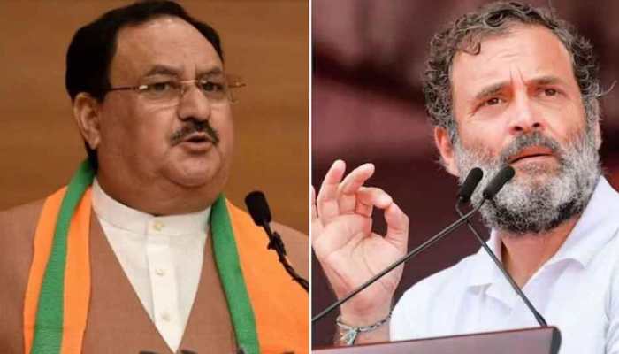 JP Nadda&#039;s &#039;Mega Shopping Mall Of Hatred&#039; Jibe At Rahul Gandhi&#039;s &#039;Mohabbat Ki Dukan&#039; Slogan 