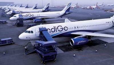 IndiGo Airline Aims To Carry 100 Million Passengers By March 2024: CEO Pieter Elbers