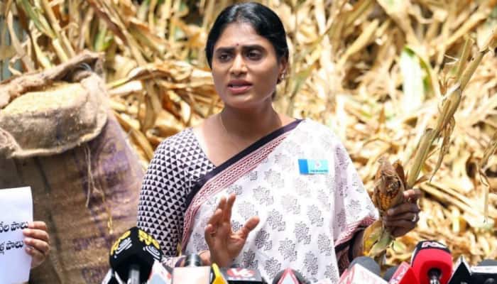Meet YS Sharmila, Andhra CM Jagan Reddy's Sister Who Is Taking On KCR In Telangana