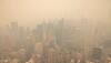 pollution level