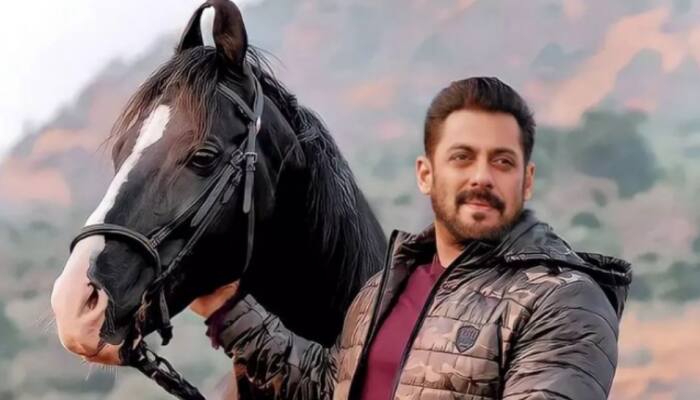 Salman Khan's Uber Luxurious Farm House Is Everyone's Dream: Things You Want To Know