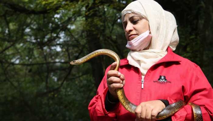 Learn About Aaliya Mir, A Former Delhi Maths Instructor Who Is Now A &quot;Symbol Of Hope&quot; For Wildlife In Kashmir