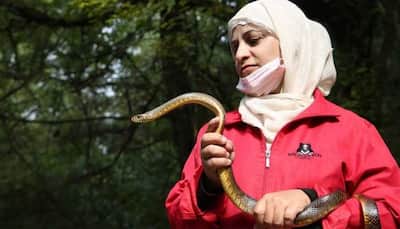 Learn About Aaliya Mir, A Former Delhi Maths Instructor Who Is Now A "Symbol Of Hope" For Wildlife In Kashmir