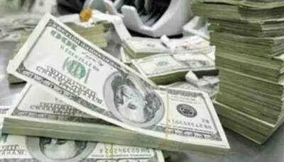 Forex Reserves Jump USD 5.9 Bn To USD 595 Bn