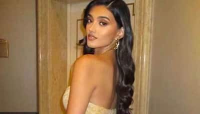 Who is Neelam Kaur Gill, British-Indian Model Rumoured To Be Dating Hollywood Superstar Leonardo Di Caprio?