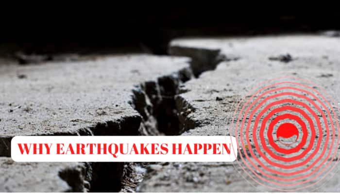 Earthquake In Delhi-NCR: Why Earthquakes Happen And How They Are Measured? Check Facts