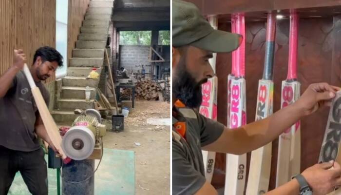 India&#039;s Kashmir Willow Bats Set To Be Part Of Action In ODI World Cup 2023